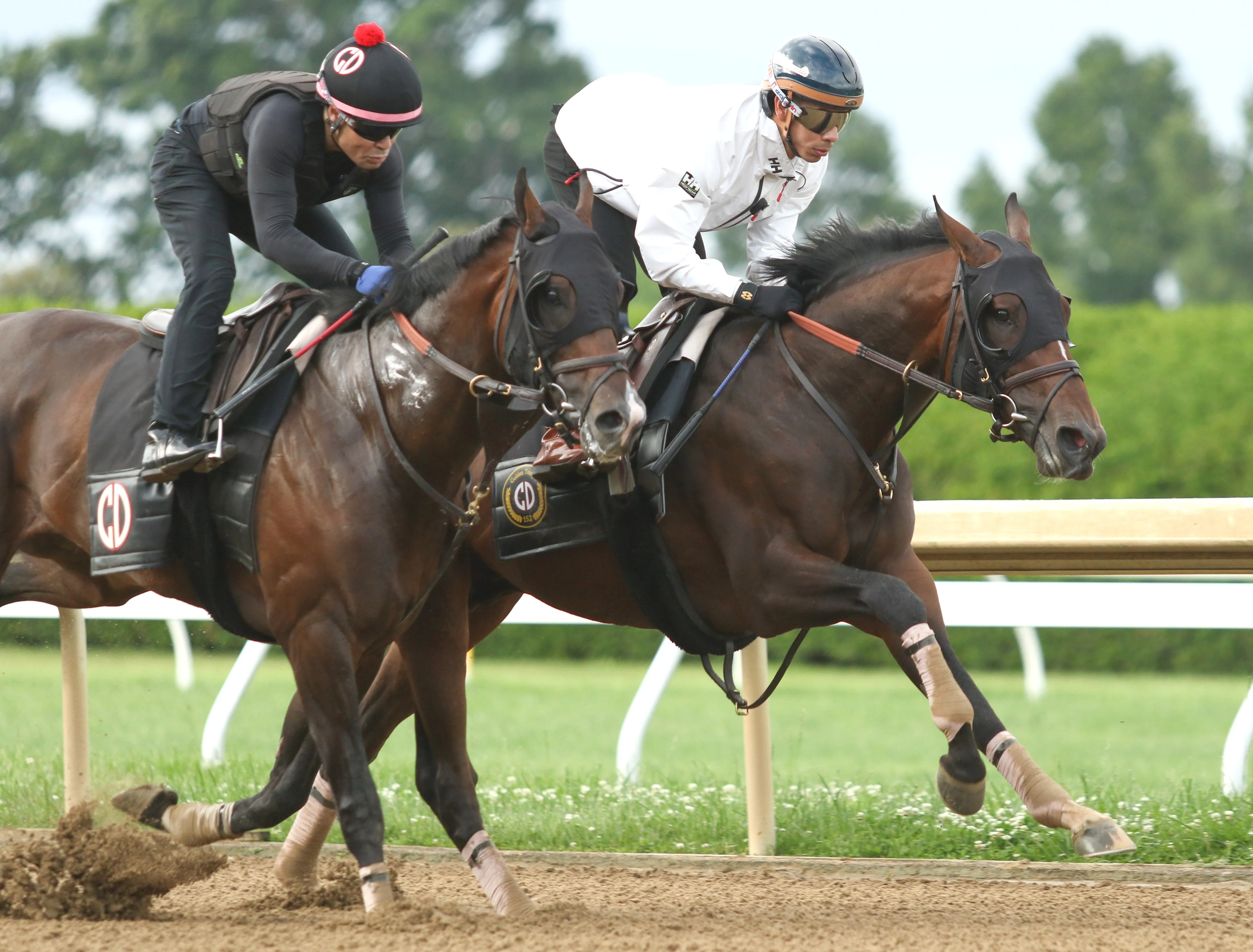 Golden Tempo (inside) works with So Sandy at KEE May 23 2026
