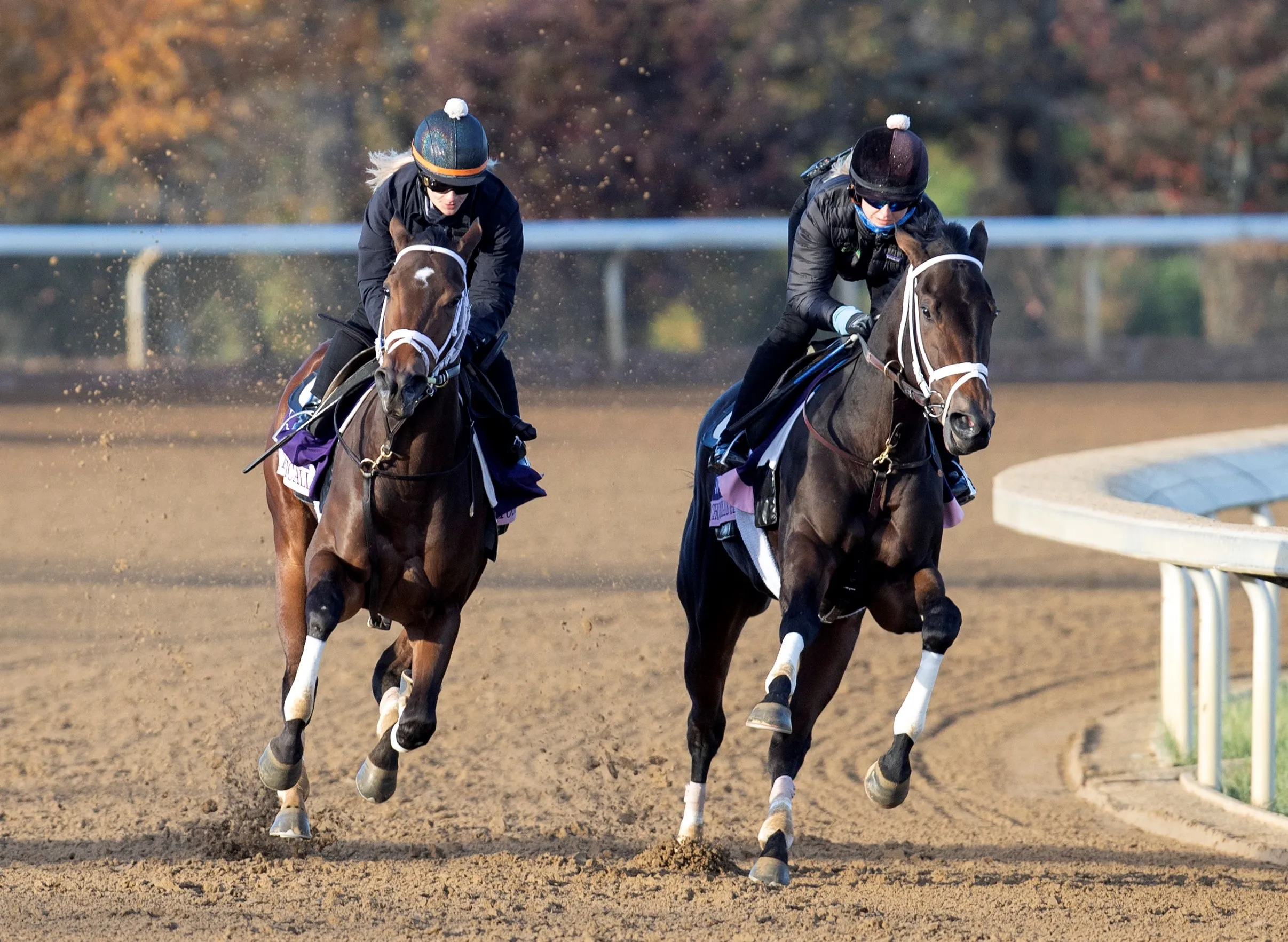 Atomically (left) and Chocolate Gelato work at KEE Oct 28 2022