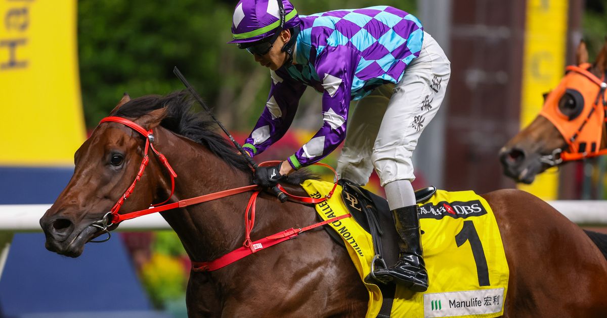 Regal Gem chases three straight at Happy Valley on Tuesday