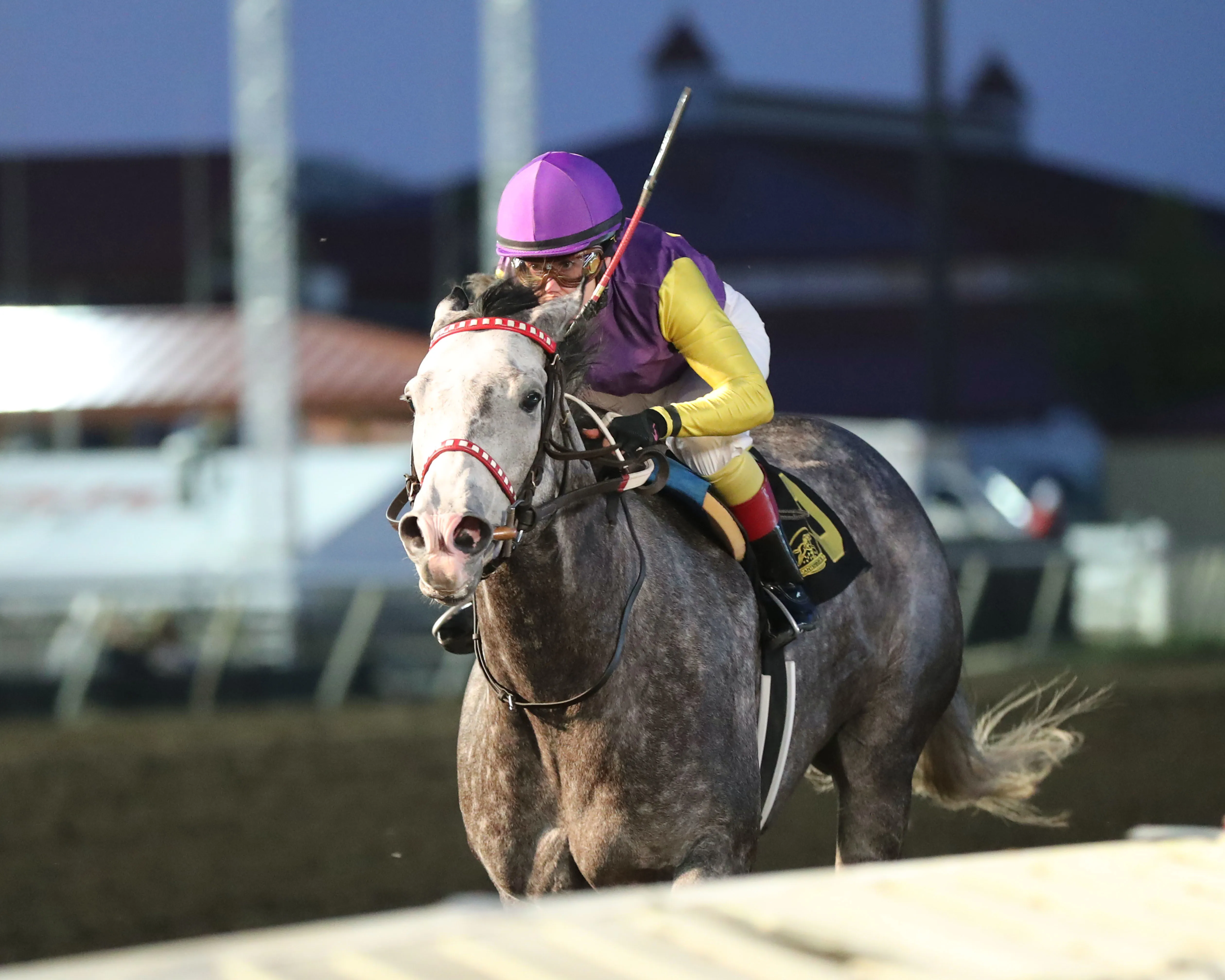 Clickbait wins the Lady Slipper at Canterbury on May 18 2022