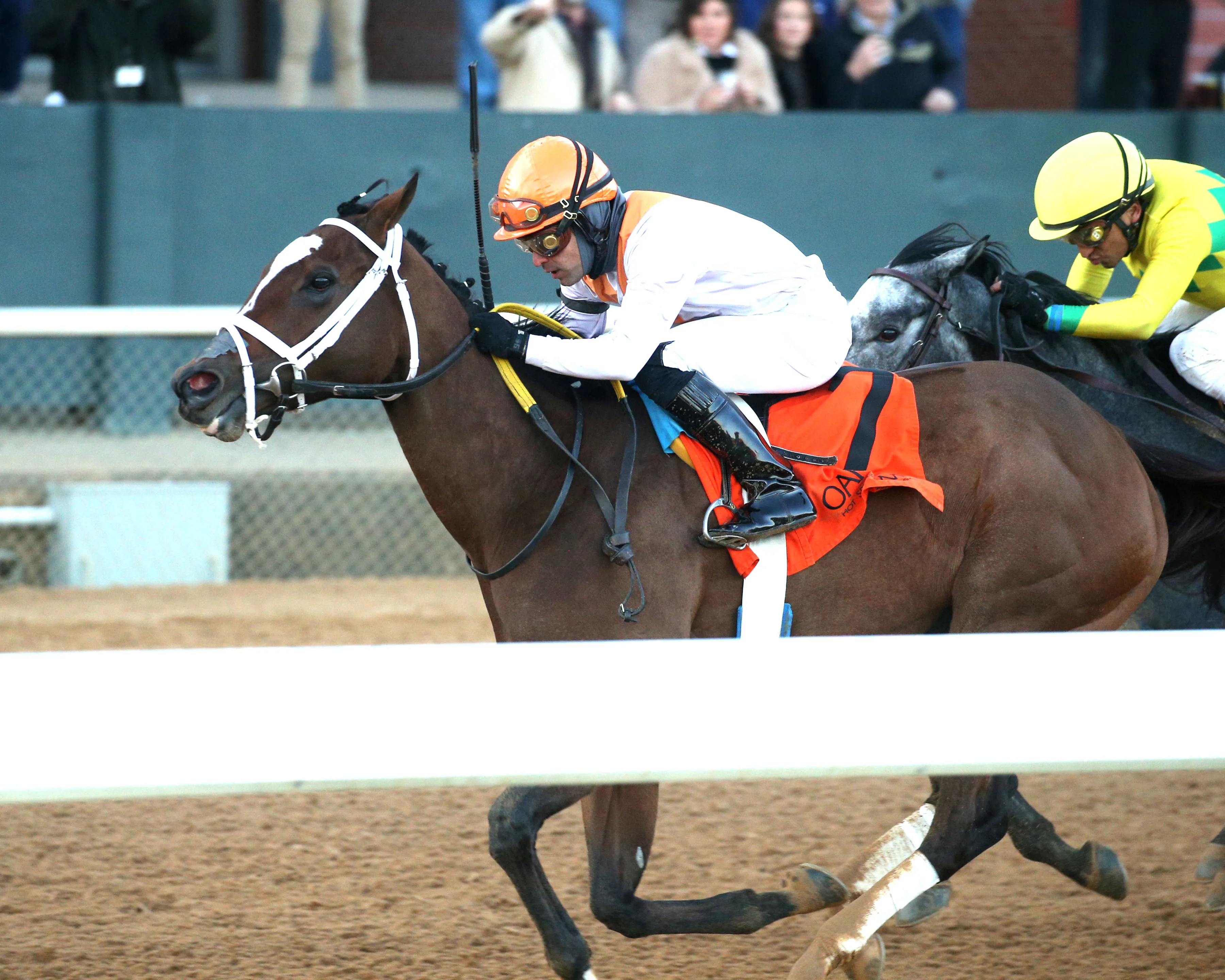 SPIRIT WIND - The Poinsettia Stakes - 12-21-24 - R09 - Oaklawn Park - Inside Finish - Andrew Stauffacher.jpg
