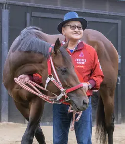 Breeders' Cup: Forever Young's Classic victory was year in making