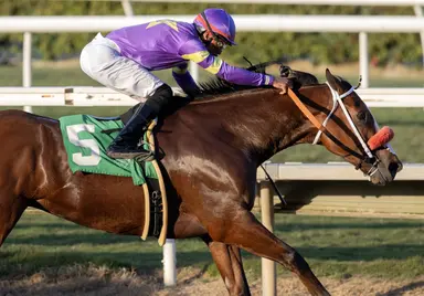 Big City Lights scratches, leaving Man O Rose clear choice in Cal Cup Sprint