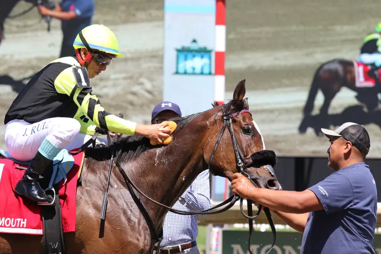 Gimme a Nother10.6.13.26.EQUI-PHOTO.jpg