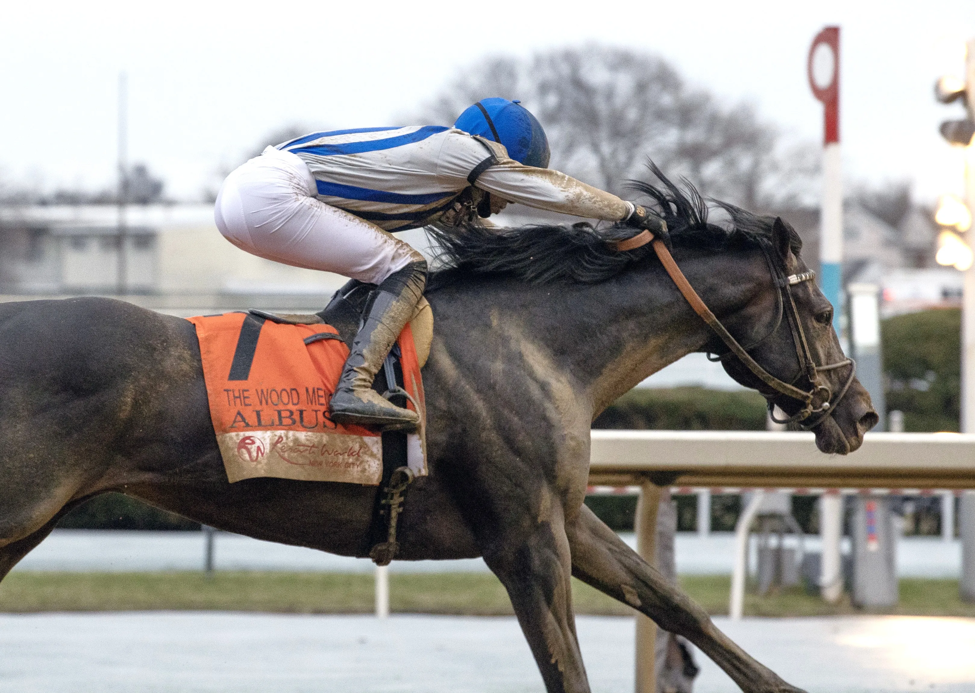 Albus wins Wood Memorial at AQU April 4 2026
