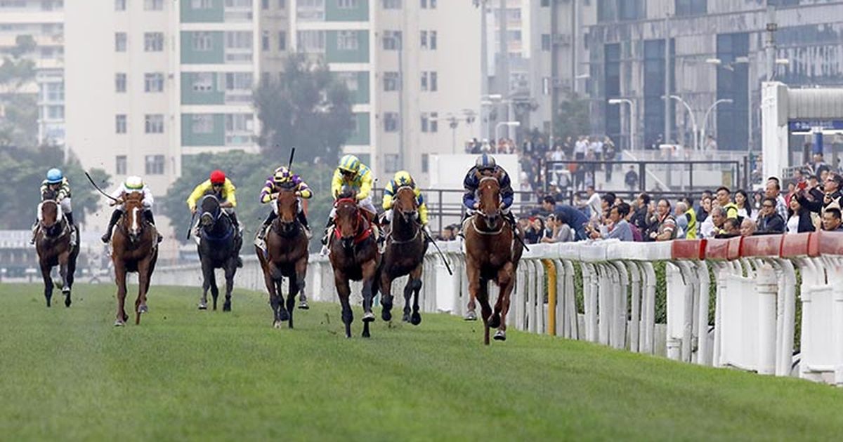 Luke Middlebrook's Hong Kong Selections and Analysis for Sunday, April ...