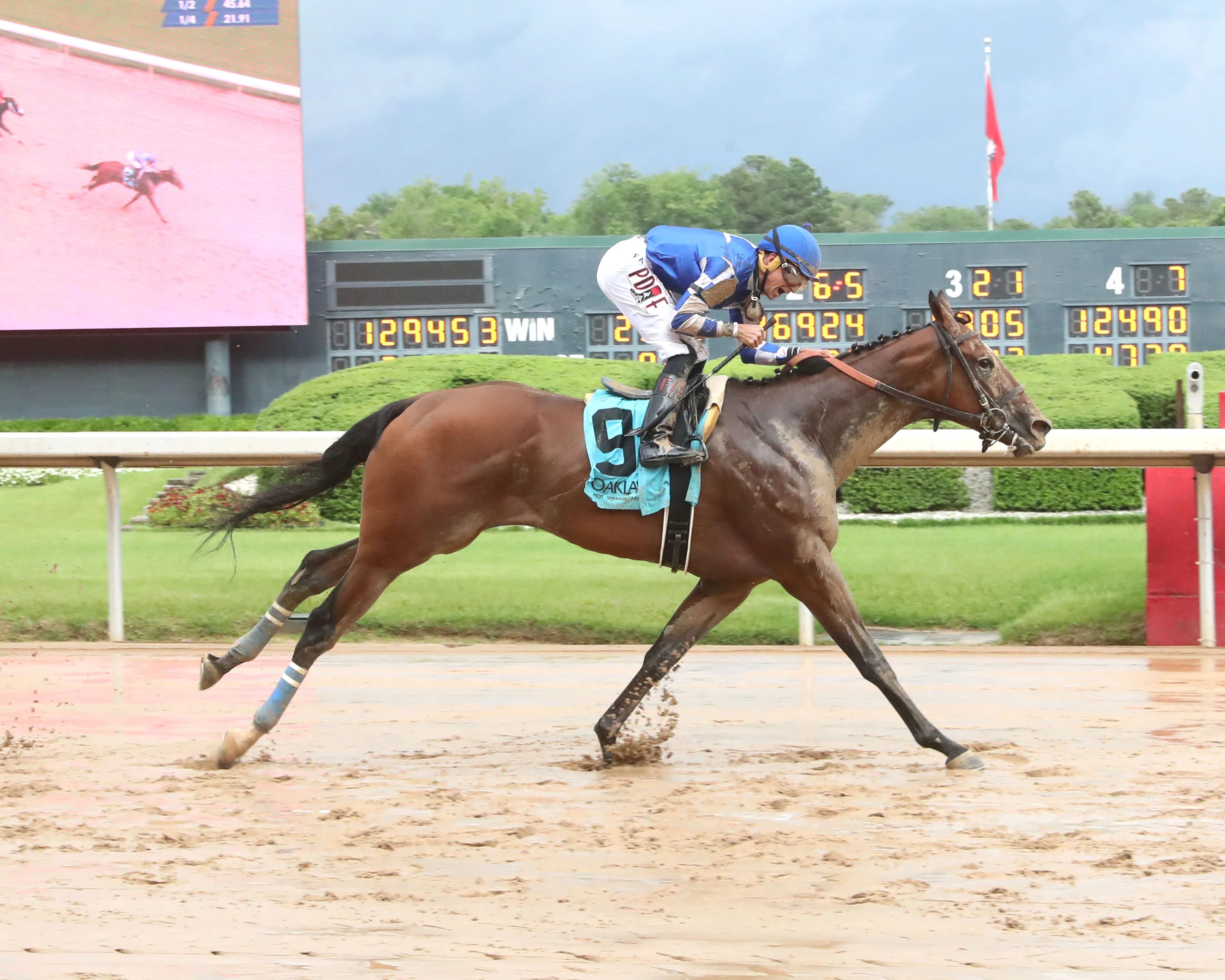 MAX GOT EXCITED  - The Bachelor Stakes - 38th Running - 05-02-25 - R11 - Oaklawn Park - Finish 01 - Cheyann Jaramillo.jpg