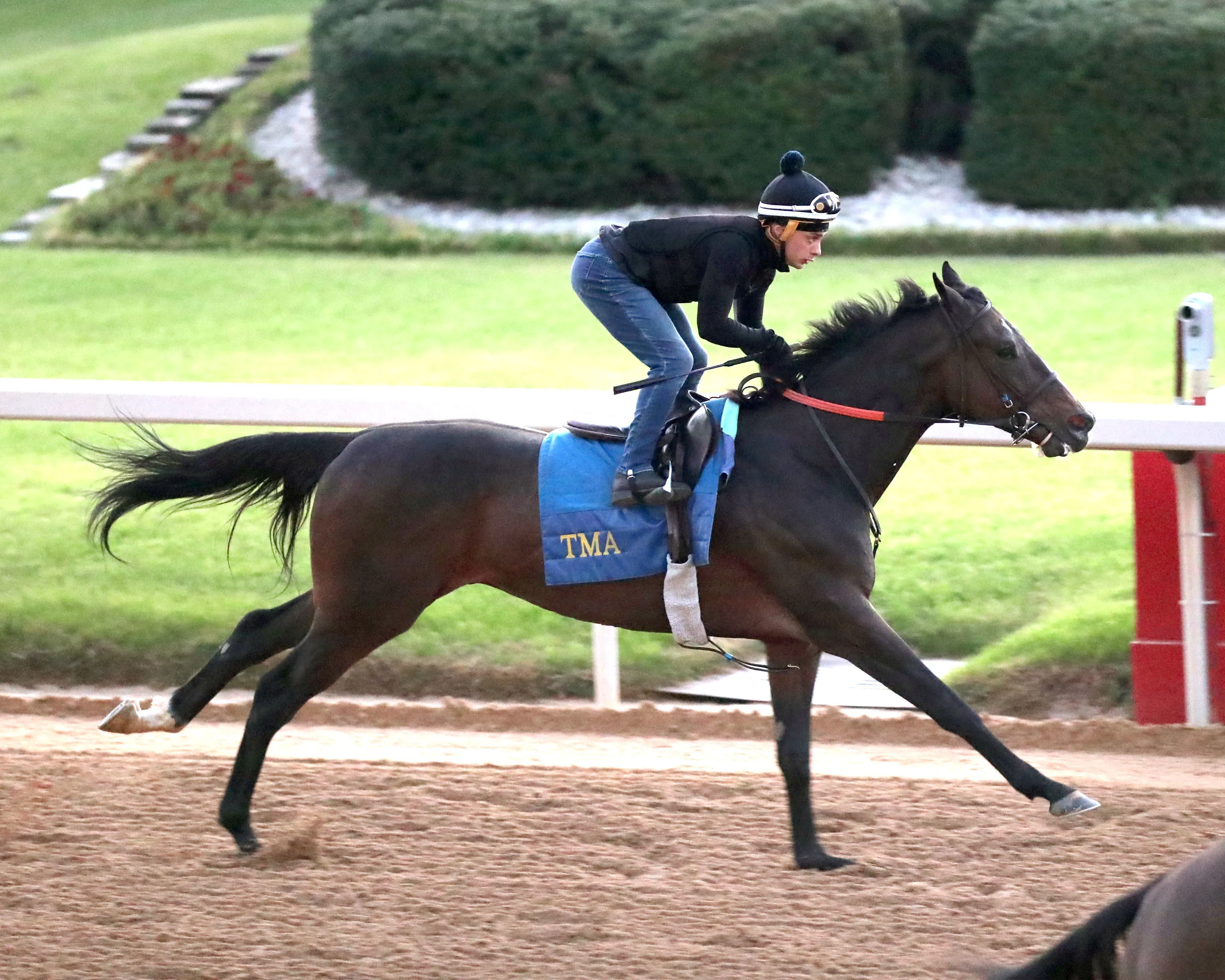 Authentic Gallop12.3.21.26.COM_.jpg