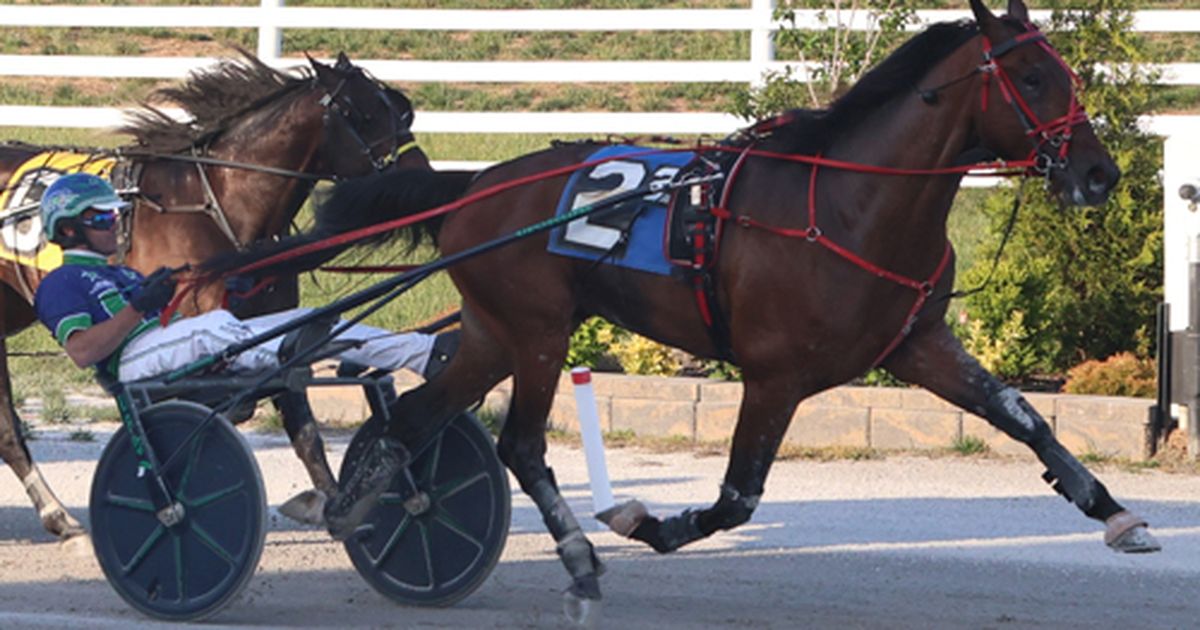 Oak Grove: Endurance is built to win the $500K Trotting Derby