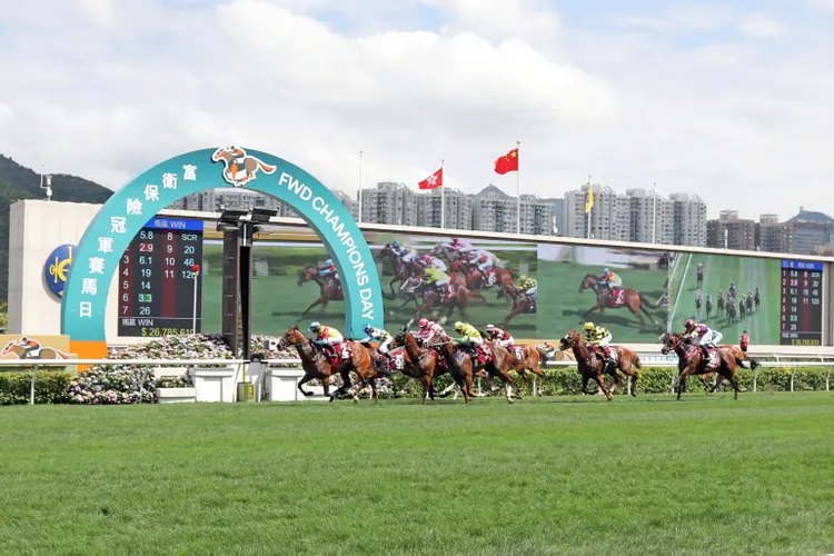 Wellington03.4-24-22.HKJC_.jpg