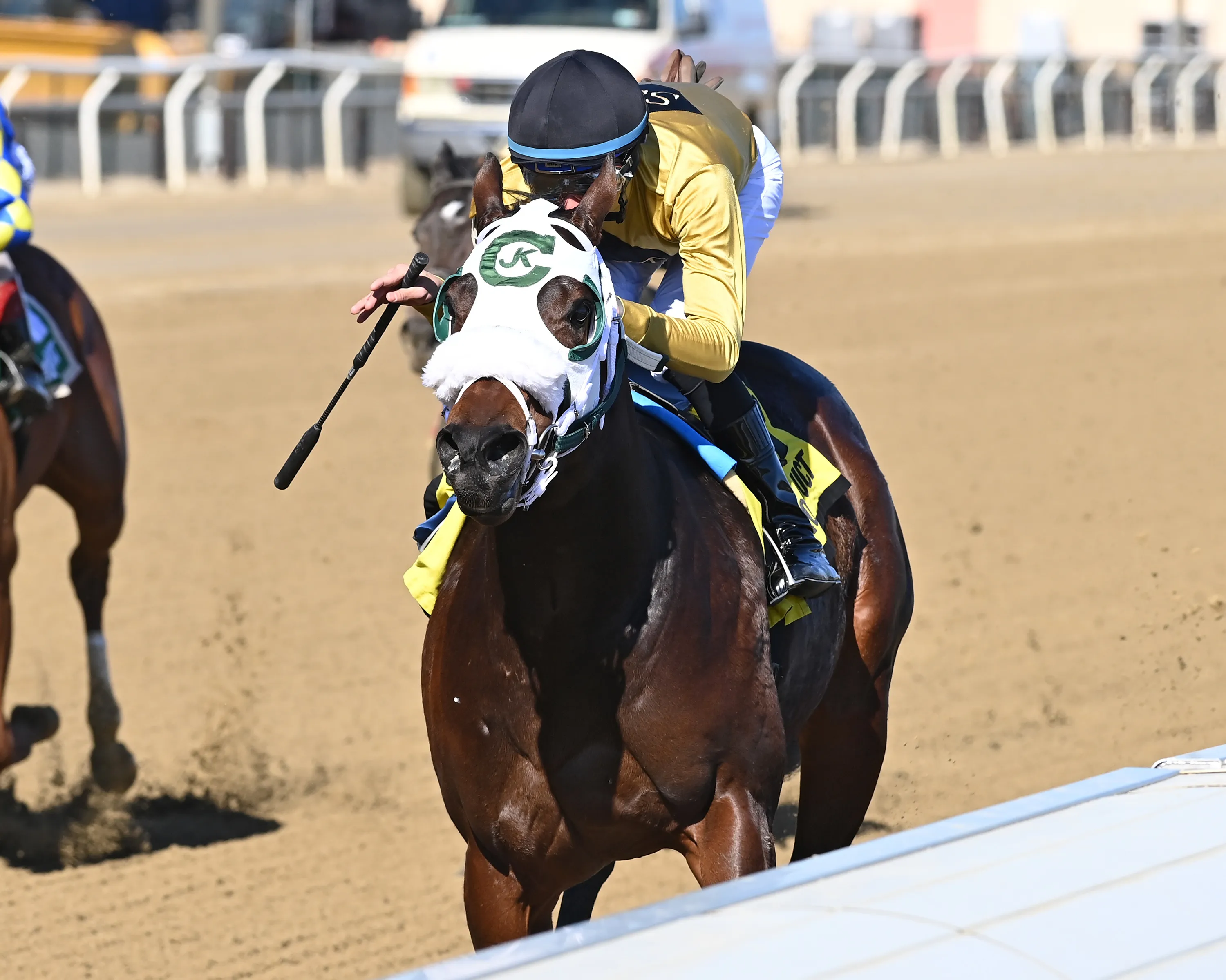 Drew's Gold wins Jimmy Winkfield at AQU Feb 11 2023