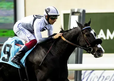 D'Amato believes Almendares is primed to upset Pegasus World Cup Turf