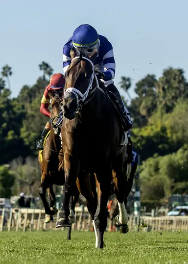 Stark Contrast gives McCarthy 500th career win in the Eddie Logan