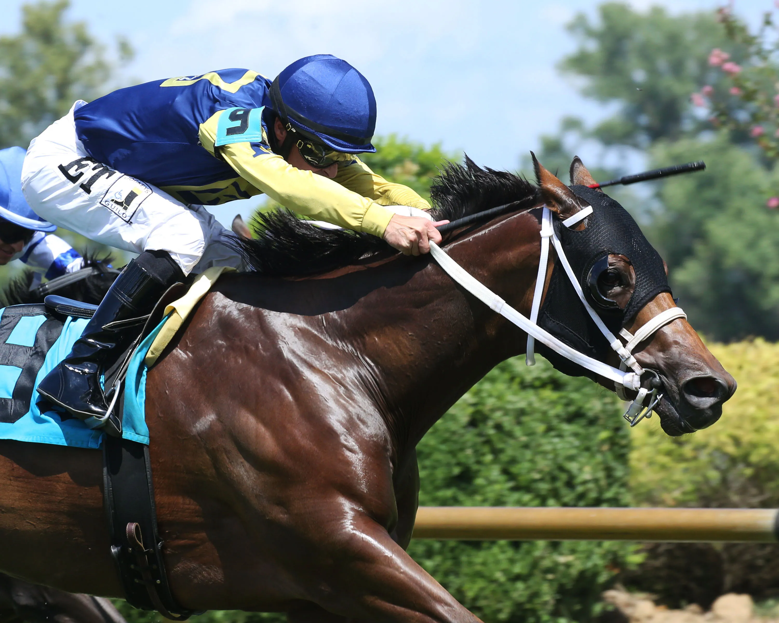 ONE TIMER - Ky Downs Preview Turf Sprint - 6th Running - 08-06-23 - R06 - ELP - Finish 02.jpg