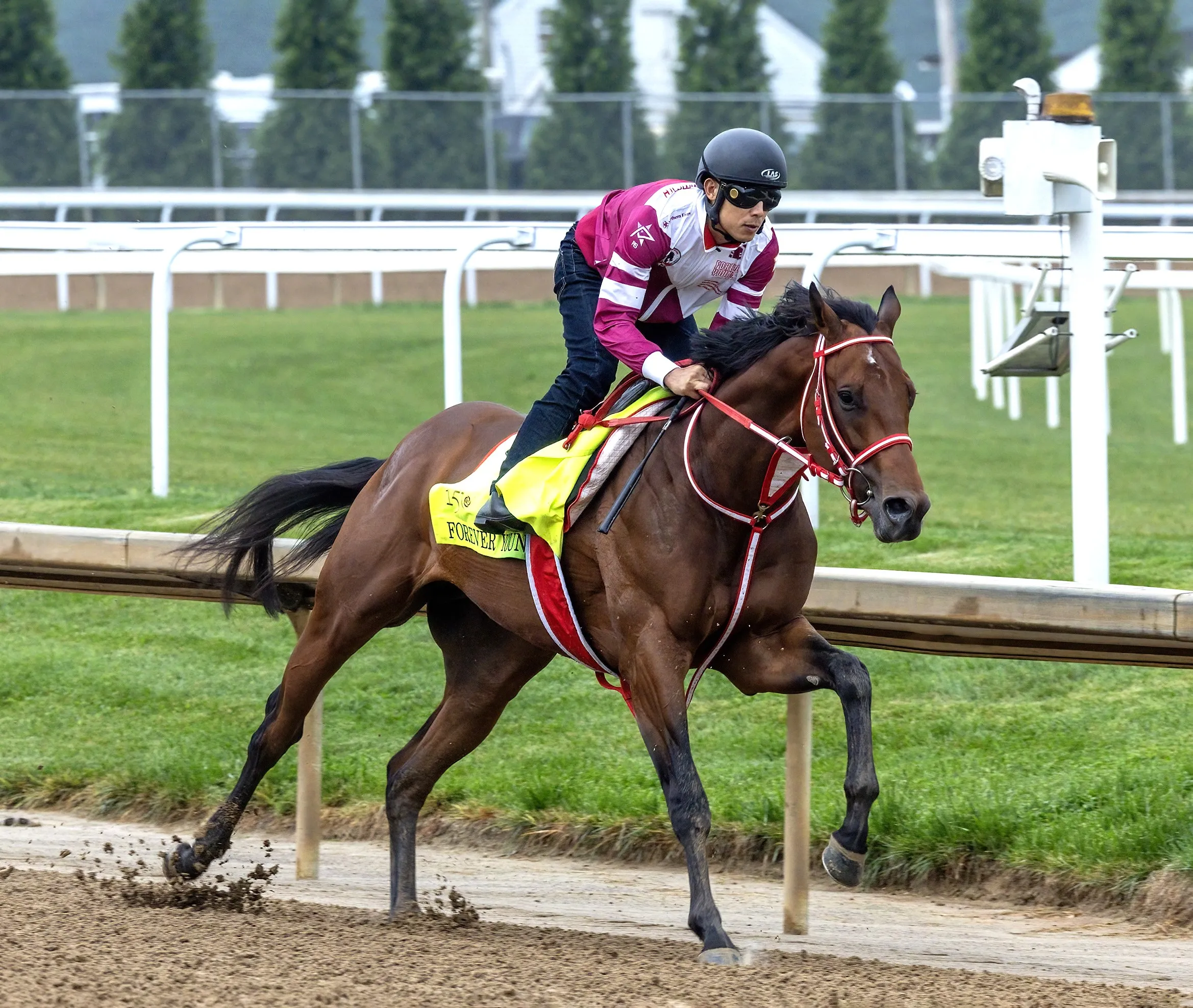 Forever Young works at CD April 30 2024