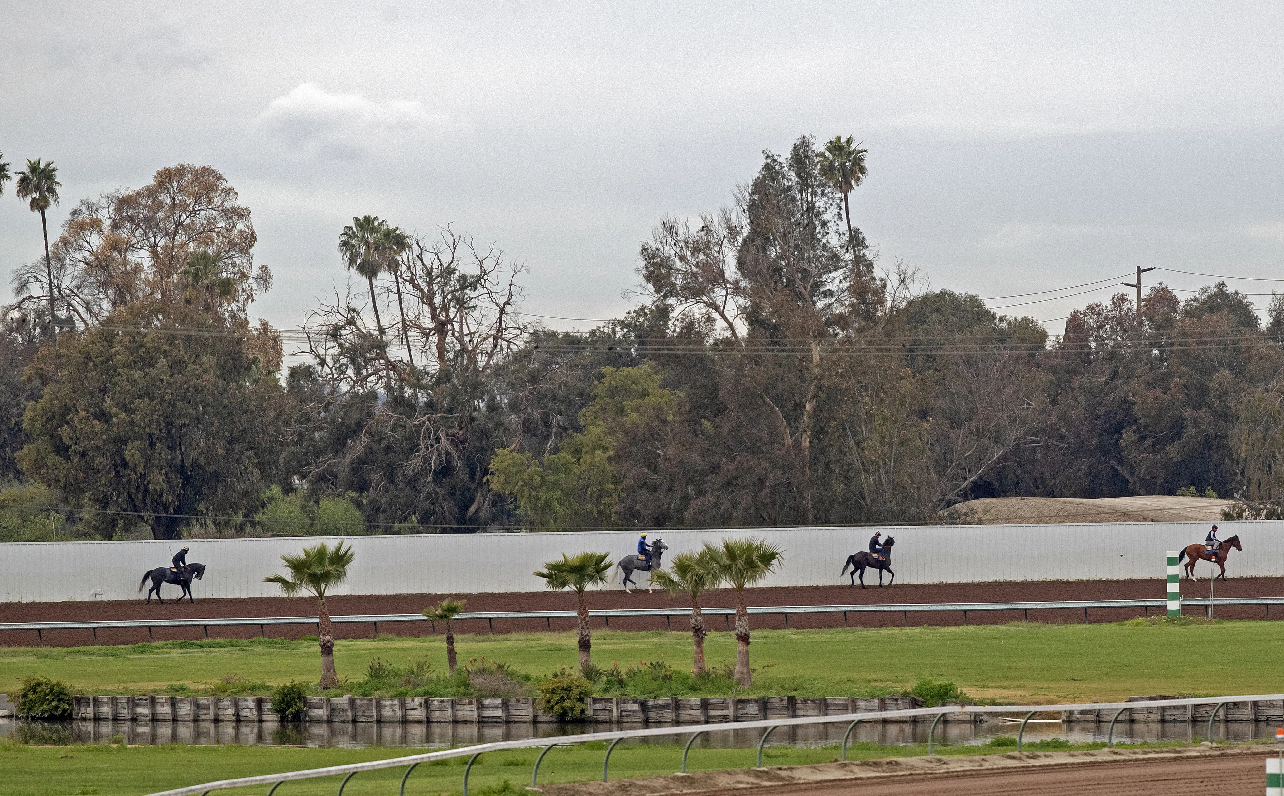 LRC.scenic03.3-10-19.BL_.jpg