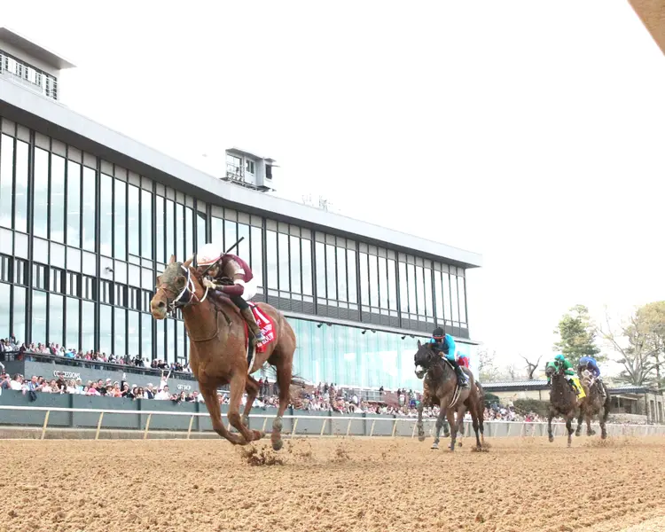 RED ROUTE ONE - The Essex Handicap G3 - 03-22-25 - R10 - Oaklawn Park - Under Rail 01 - John Gallagher.jpg