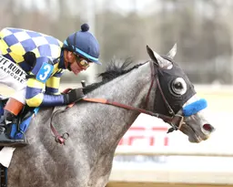 Bottle of Rouge takes Virginia Oaks, shows she's a Kentucky Oaks contender