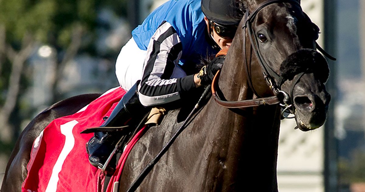 Restrainedvengence, eight-time stakes winner, retires after 43 starts