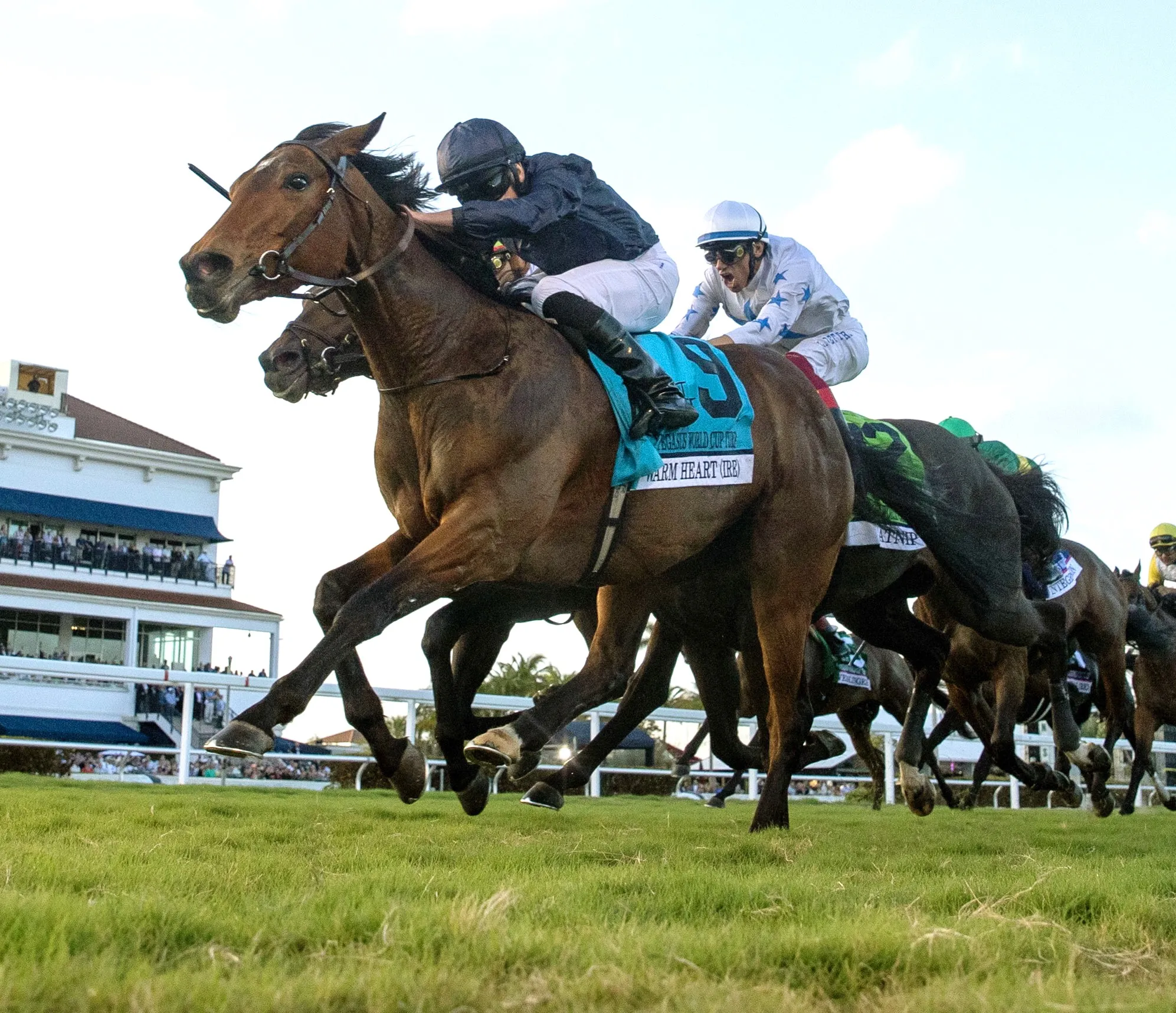 Warm Heart wins Pegasus World Cup Turf at GP Jan 27 2024