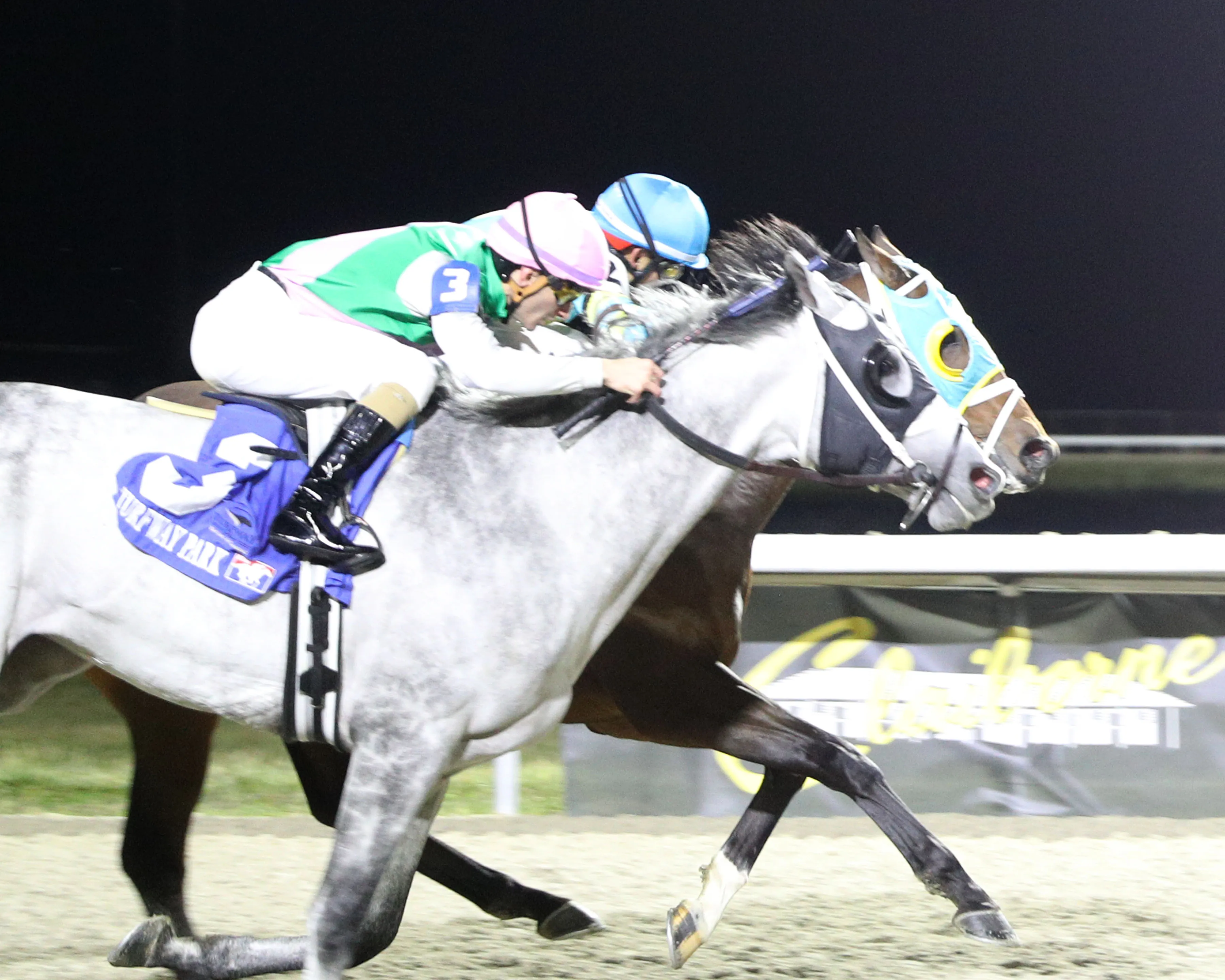 ANEGADA - The Last Hurrah 1st Running  - 12-27-25 - R08 - Turfway Park - Tight Finish 01.jpg