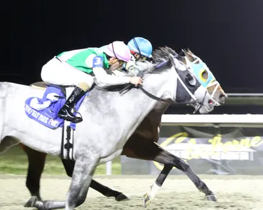 Anegada noses Final Gambit in Last Hurrah Stakes