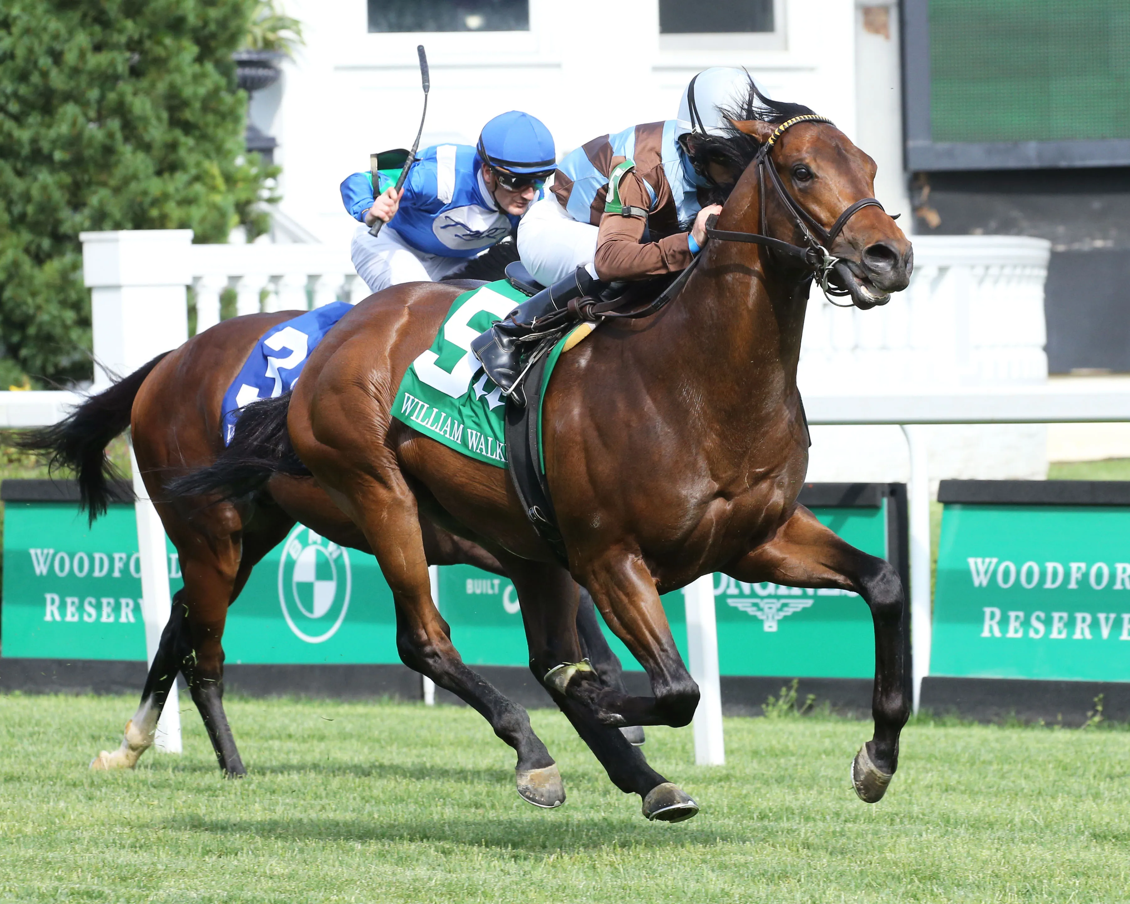 NO NAY HUDSON - The William Walker - 8th Running - 05-13-23 - R10 - Churchill Downs - Finish 02.jpg