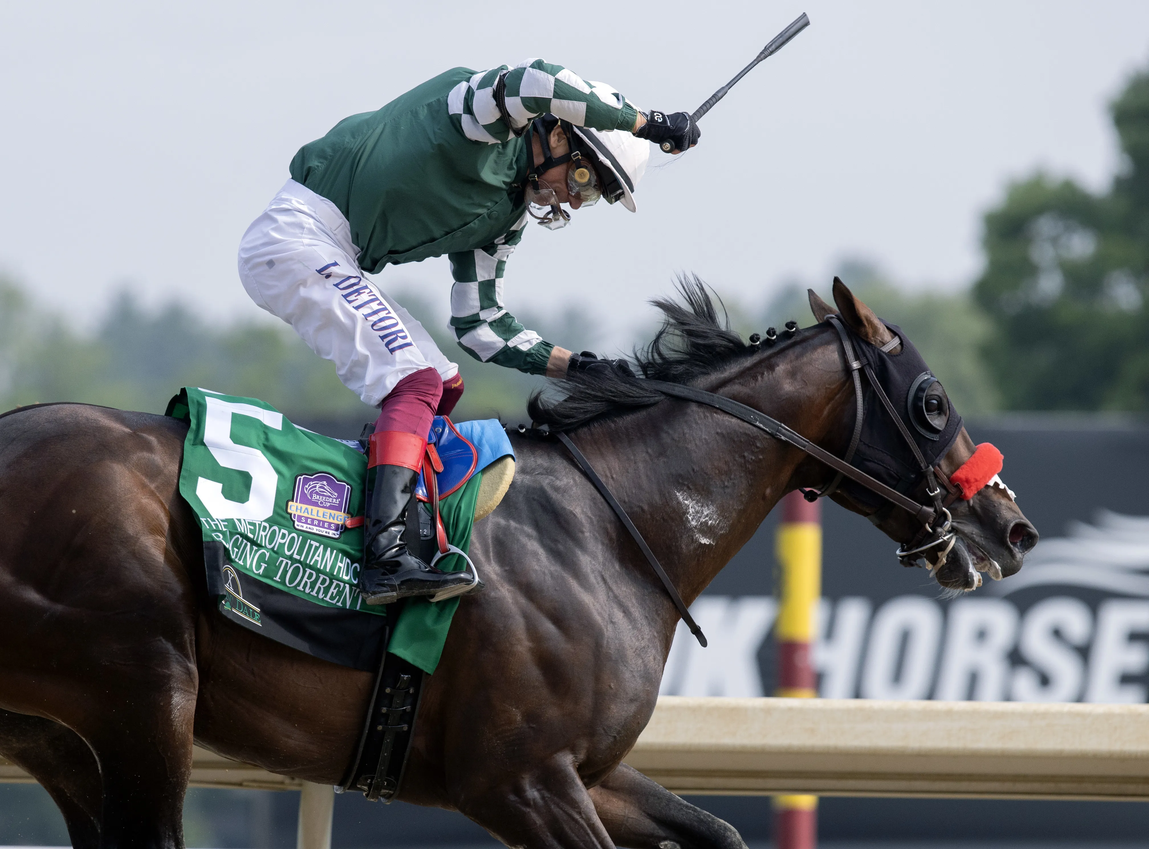 Raging Torrent02.Dettori,Frankie.6-7-25.BL_.jpg