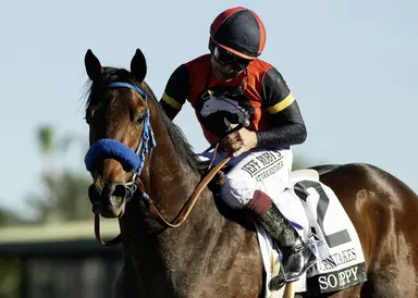 So Happy's next start possibly San Felipe Stakes, Glatt says