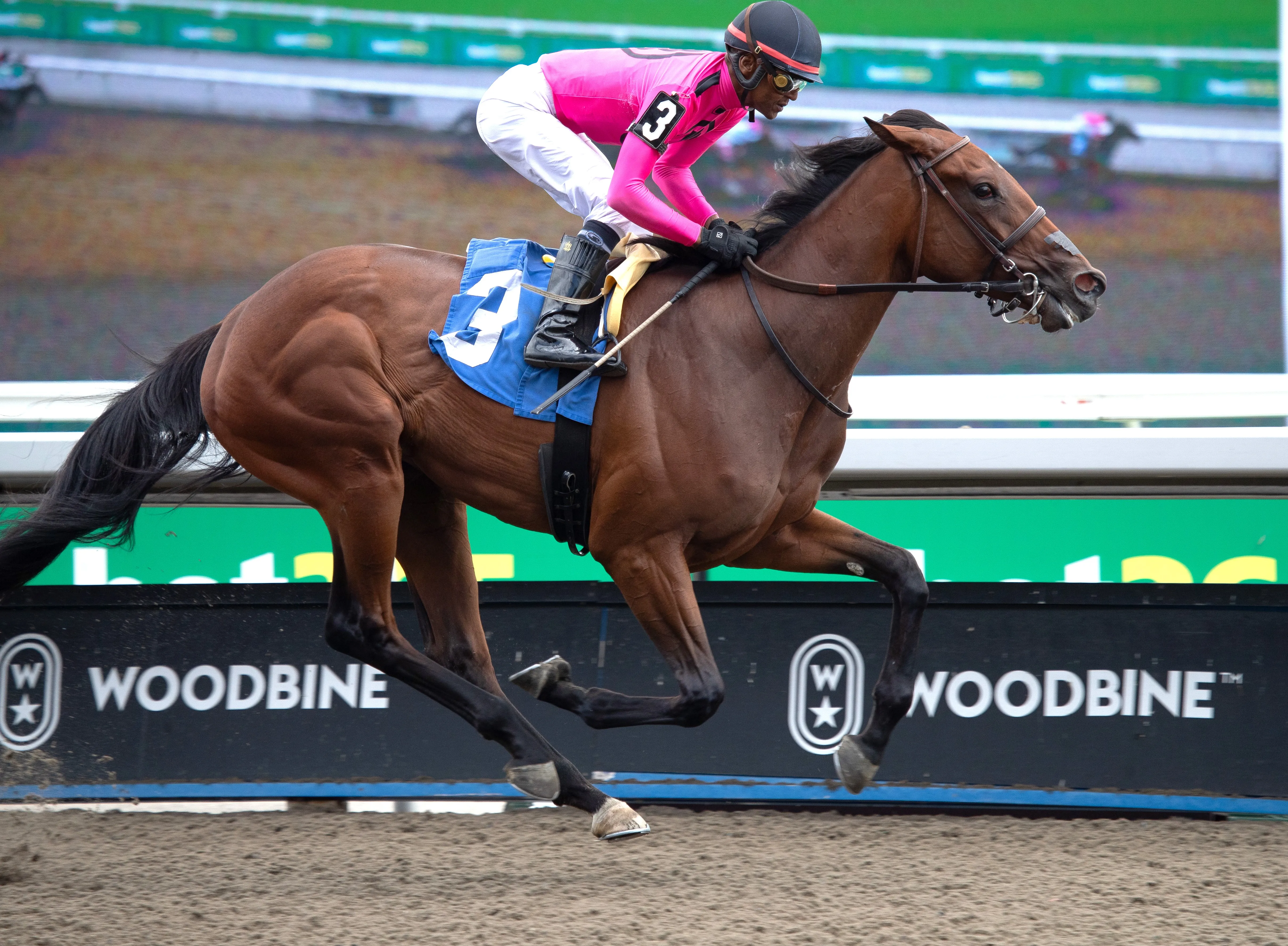 Souper Supreme wins maiden at WO July 6 2024