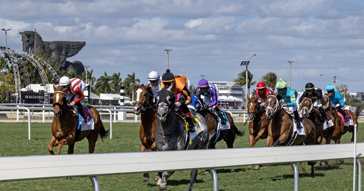 DRF's Horse Racing Playbook for Friday, April 10, 2026