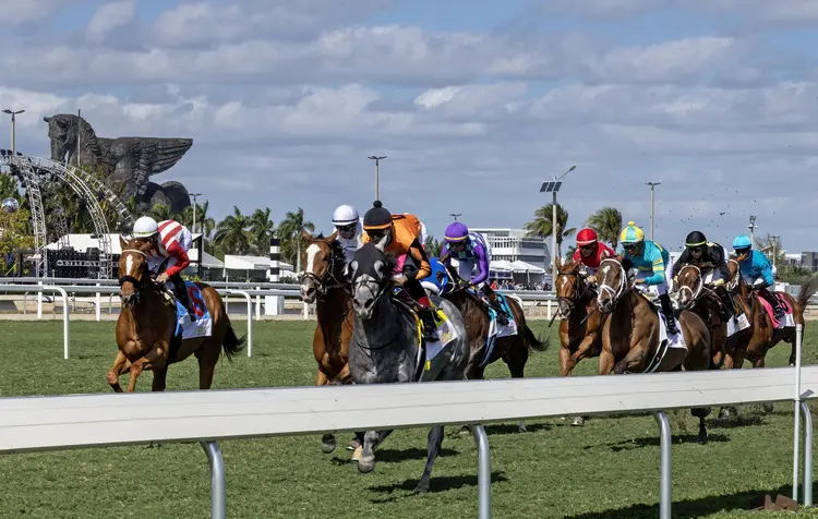 Gulfstream Park.first time by turf.Pegasus statue.01-25-25.DRO_.jpg