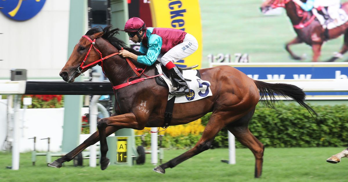 Luke Middlebrook's Hong Kong Selections and Analysis for Thursday, Feb ...