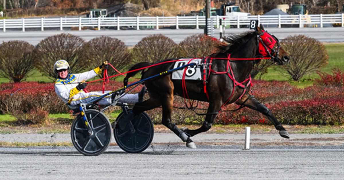 Harness: Hennessey weighs the potential end to a legendary career
