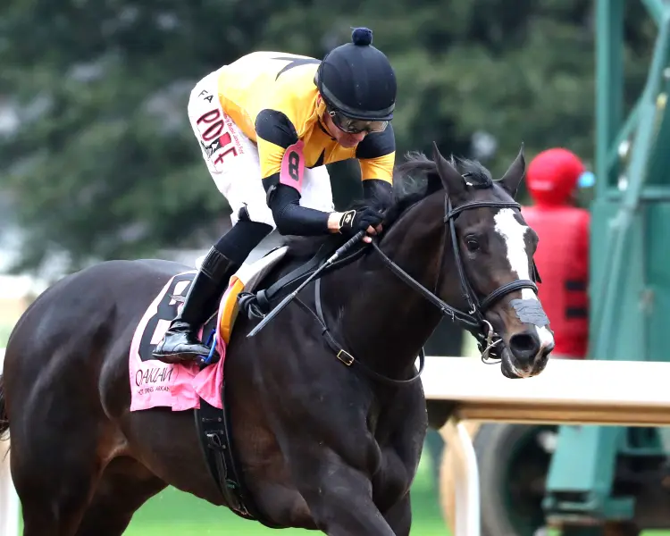 COUNTING STARS - Year's End Stakes - 12-27-25 - R08 - Oaklawn Park - Finish 02 - Nicole Dankanich.jpg
