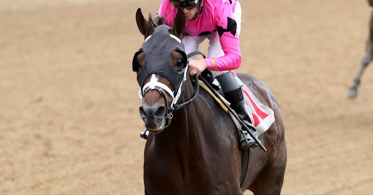 Cox aiming Instant Replay toward Indiana or Iowa Derby