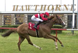 Judge allows Hawthorne to access line of credit to pay back wages, convert racing surface