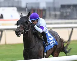 Intricate Spirit takes early lead, keeps it in Paradise Creek Stakes