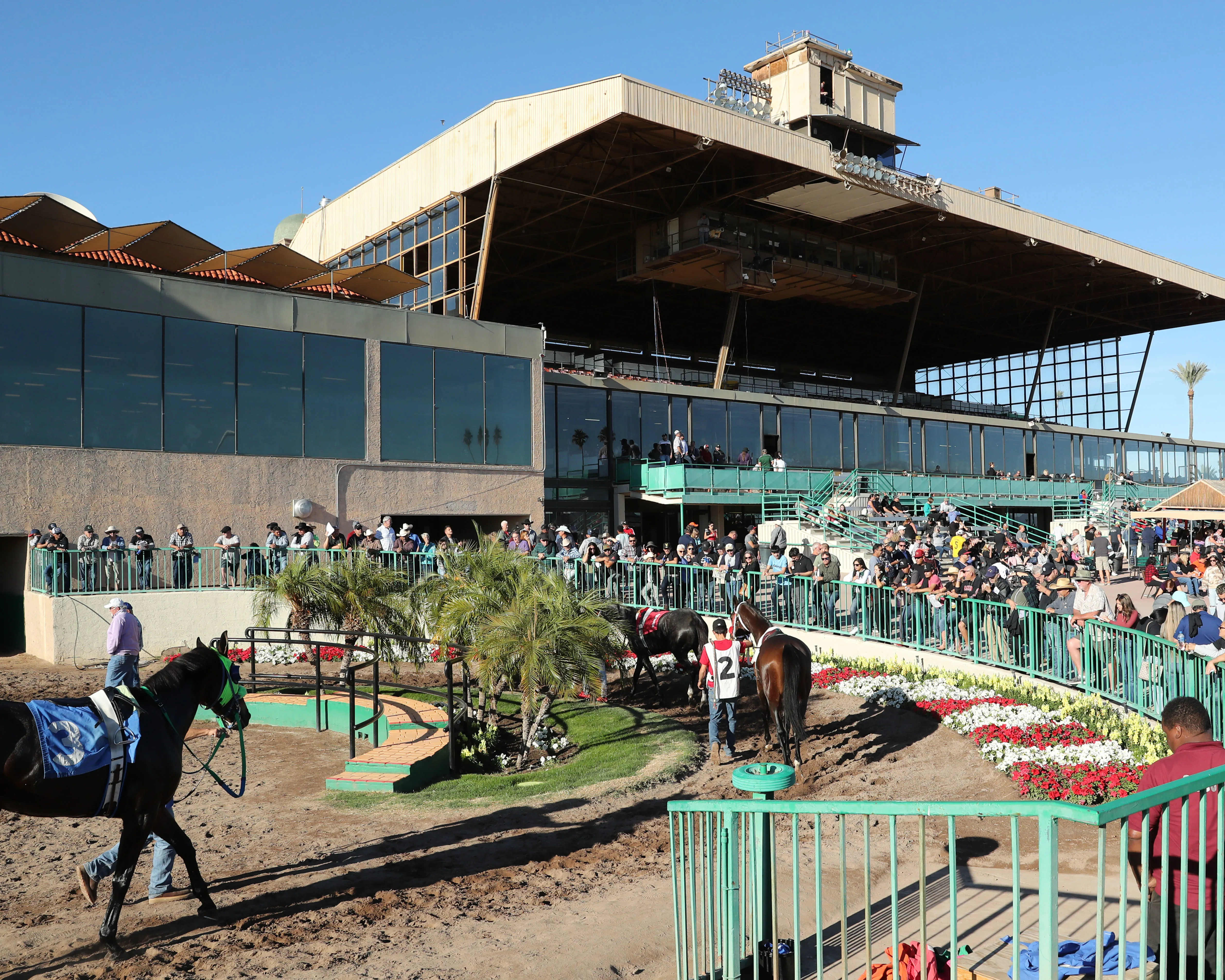 Turf Paradise Scenic03.11-26-22.CO_.jpg