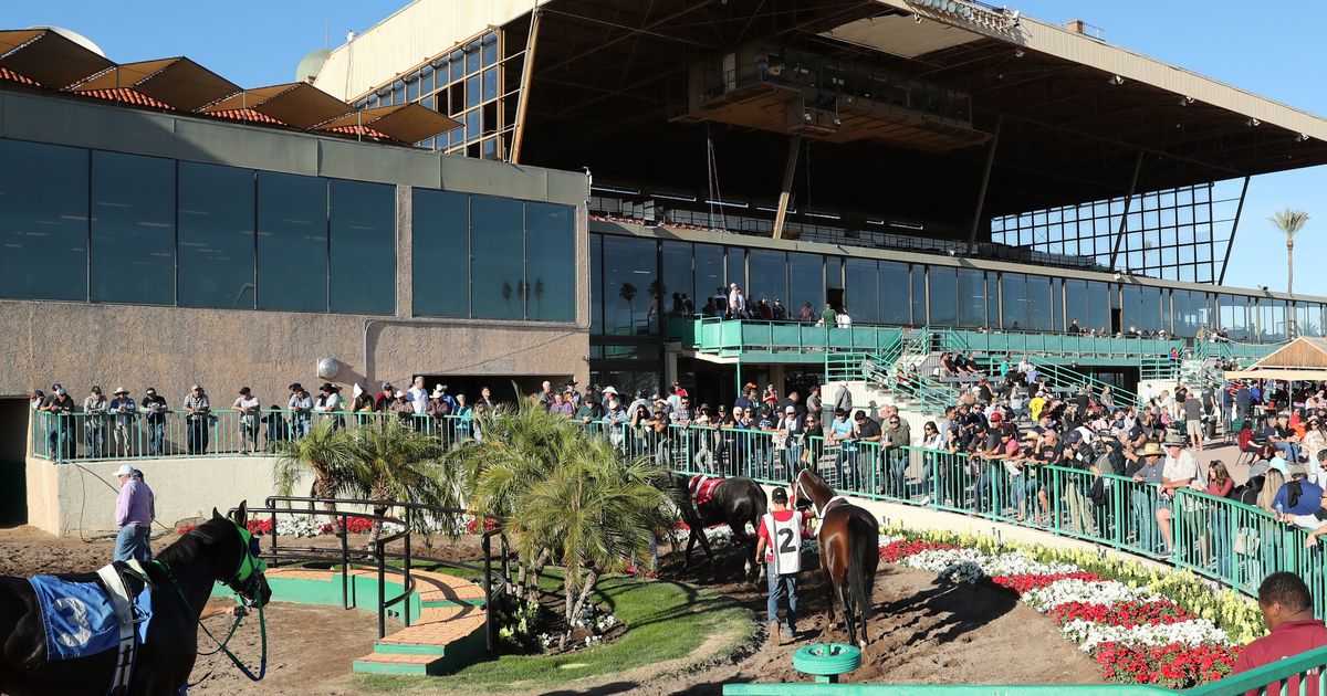 Turf Paradise cancels fourth straight card