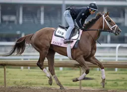 Zany to be cross-entered at Saratoga and Monmouth