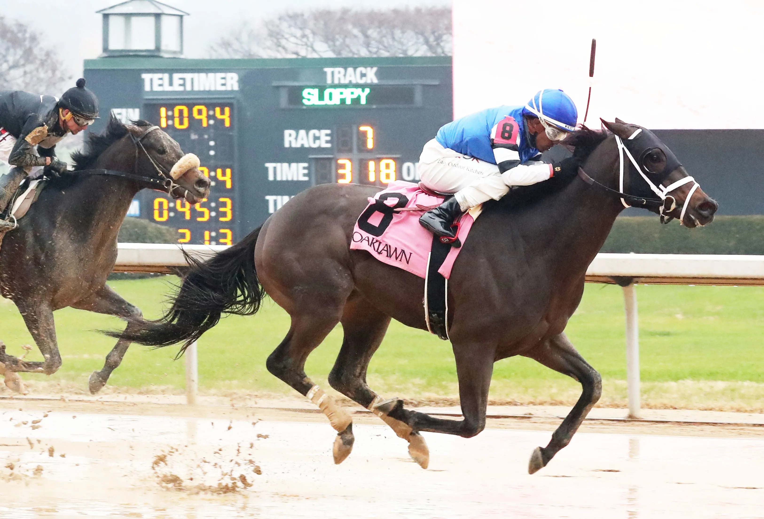 Easy Action wins maiden at OP Jan 28 2023.CO_.jpg