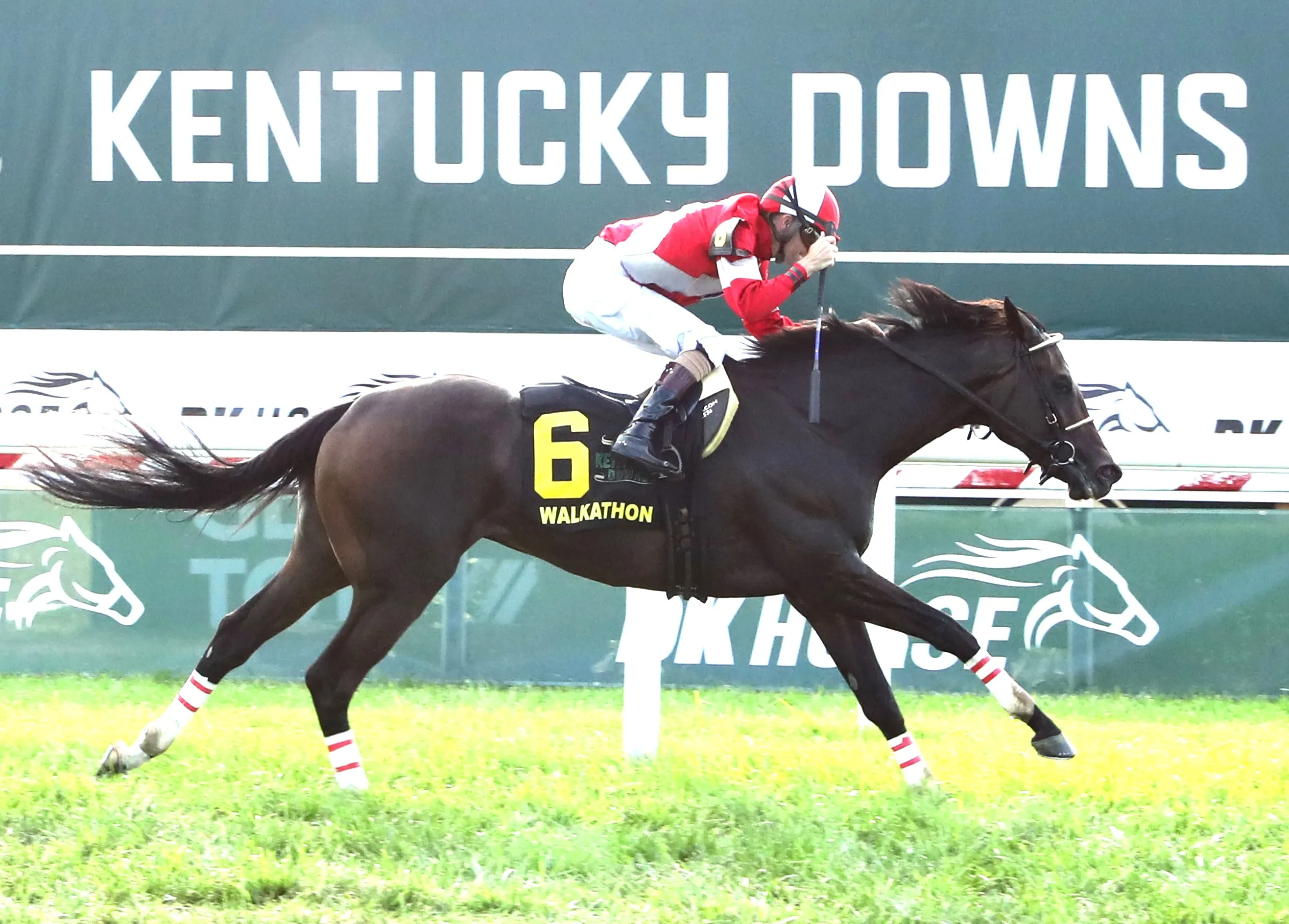 Walkathon wins Ladies Turf at KD Aug 31 2024