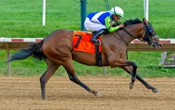Luv Your Neighbor ends stakes-win drought with Delaware Oaks