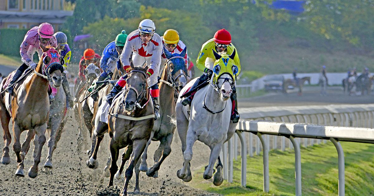 Pacific Thoroughbred Racing Association says fall 2026 meet at Hastings unlikely