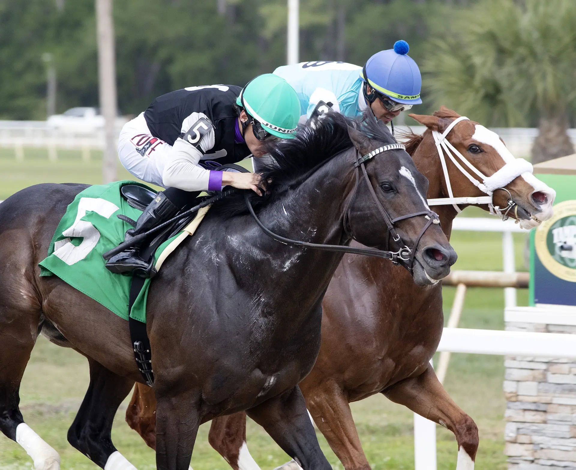 Damon's Mound passes $1 million earnings mark with NYRA Bets Sprint win