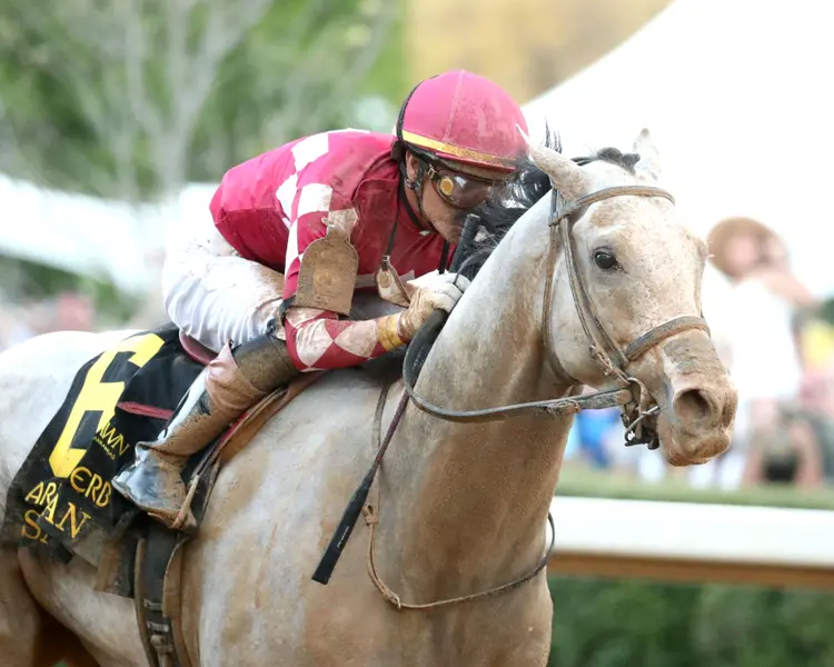 SANDMAN - Arkansas Derby G1 - 89th Running - 03-29-25 - R13 - Oaklawn Park - Finish 03 - McCarlee Perkins.jpg