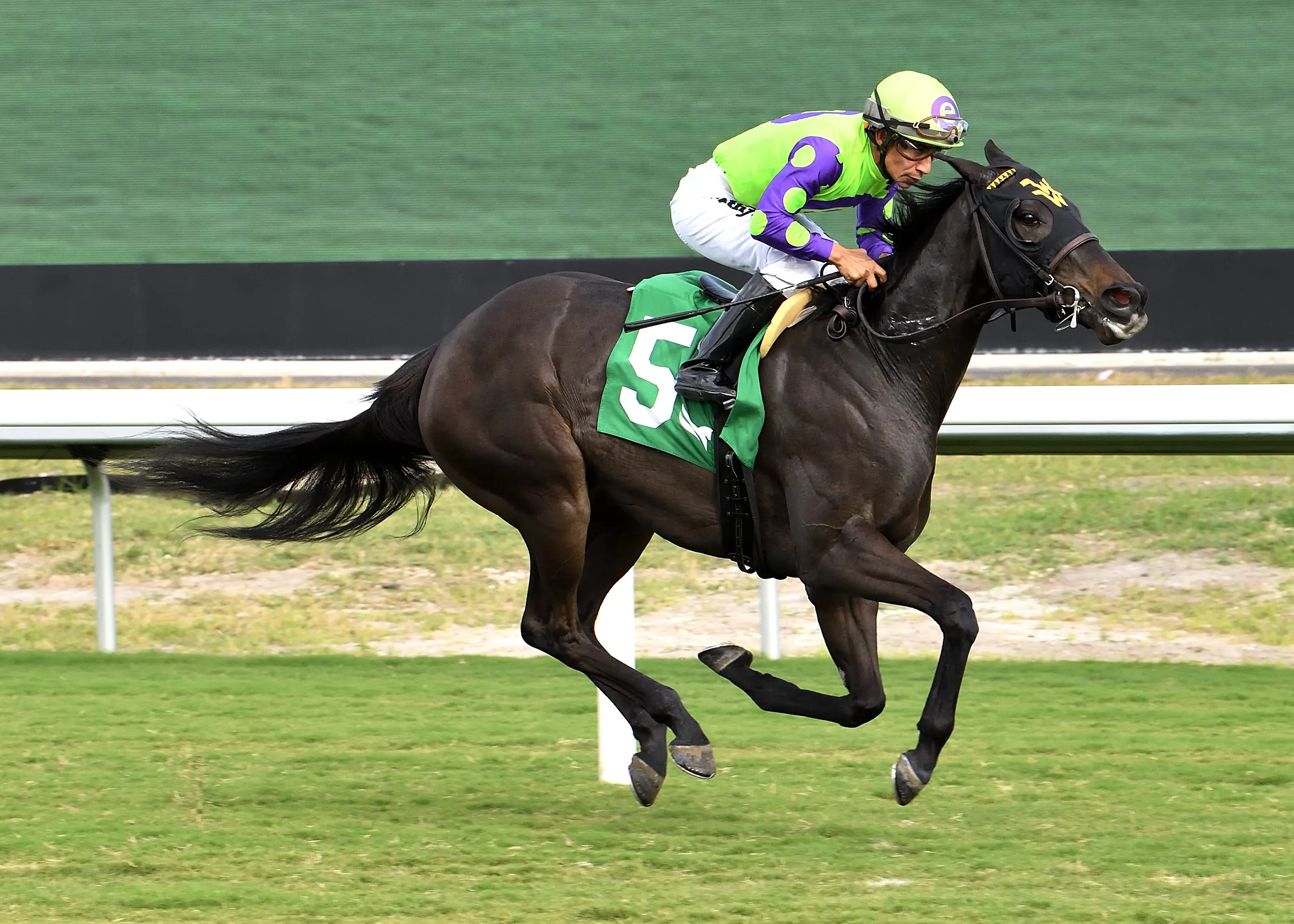 Imaboutago wins debut at GP Dec 8 2023