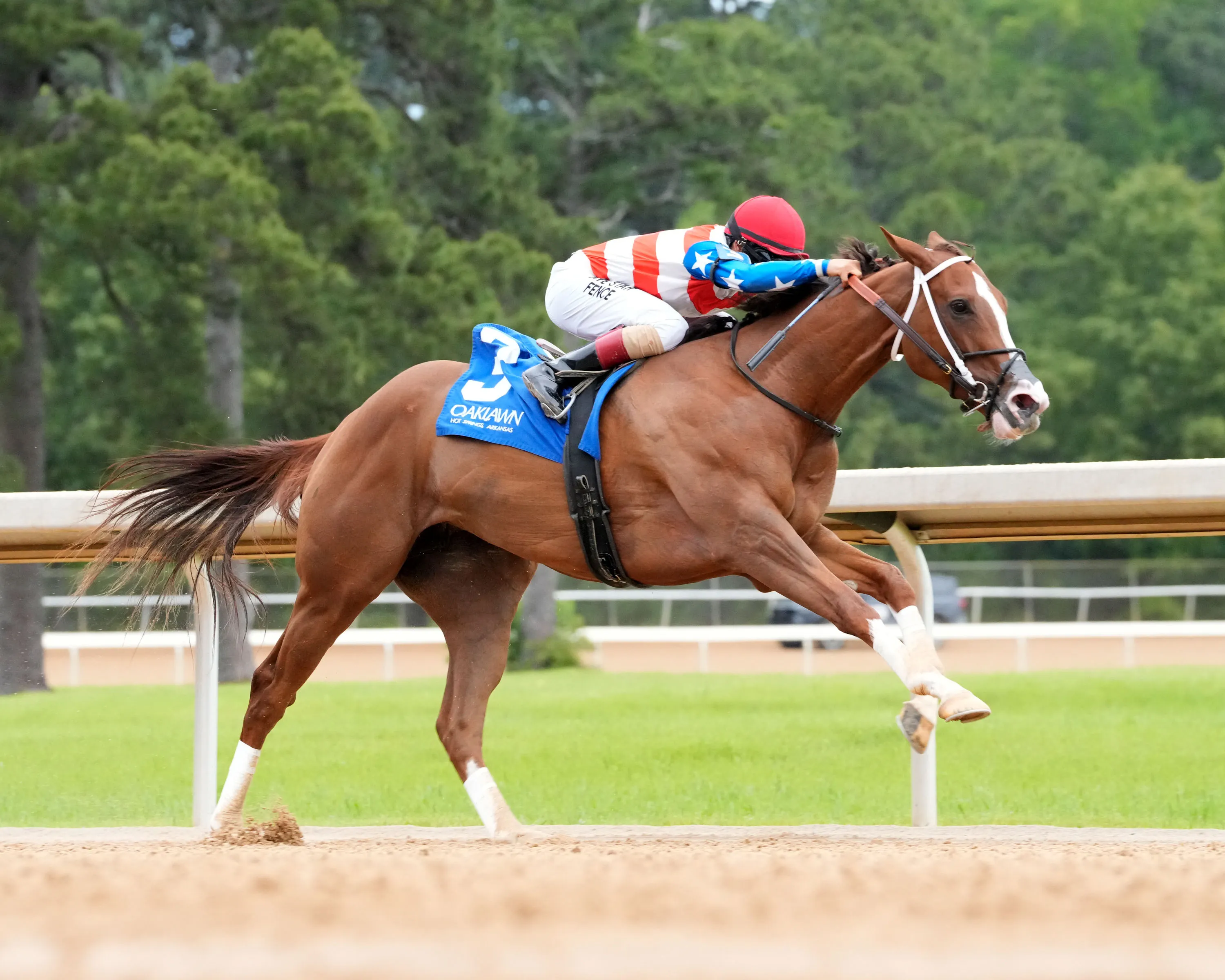 QUEEN'S MARTINI - 04-25-26 - R10 - Oaklawn Park - Turn 02 - Shelby Layne Ridgway.jpg