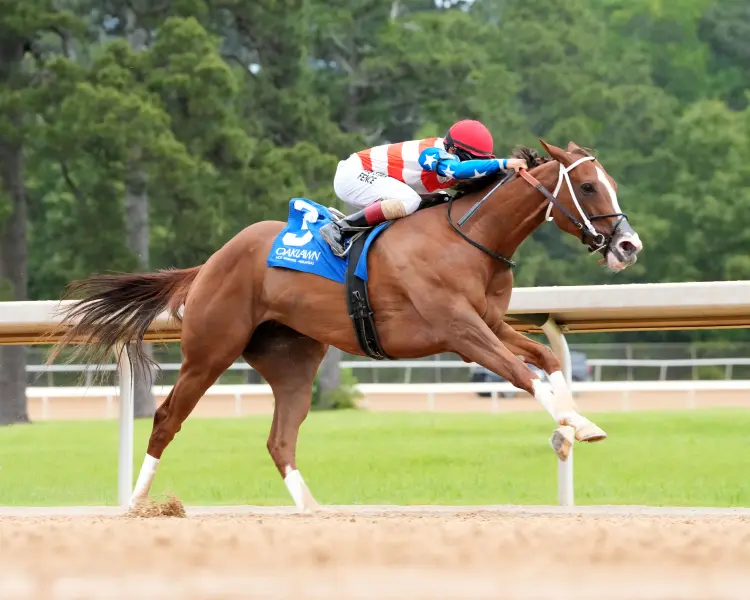 QUEEN'S MARTINI - 04-25-26 - R10 - Oaklawn Park - Turn 02 - Shelby Layne Ridgway.jpg